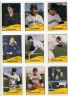 1979 West Haven Yankees Team Set (West Haven Yankees)